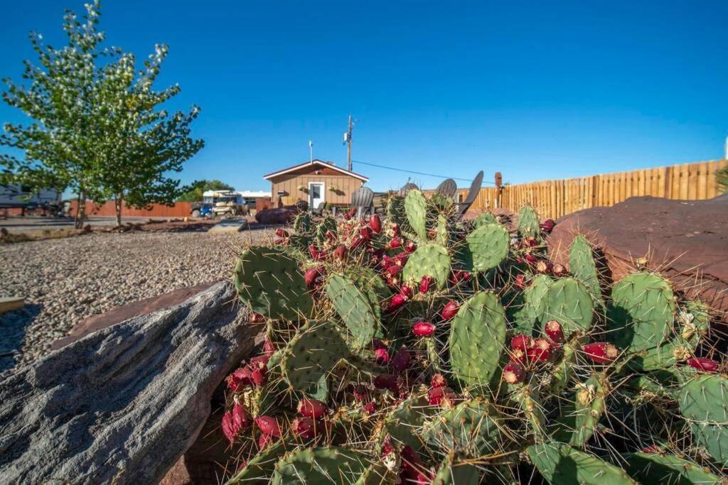 Redrock Moab Tiny House W Large Loft Site 8 Villa Kültér fotó